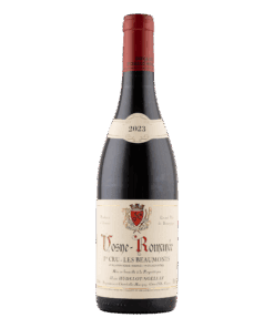2022 Hudelot Noëllat Vosne Romanée 1er Cru Les Beaumonts