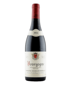 2024 Hudelot Noëllat Bourgogne Pinot Noir