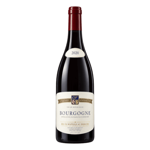 2020 Coquard Loison Fleurot Bourgogne Pinot Noir