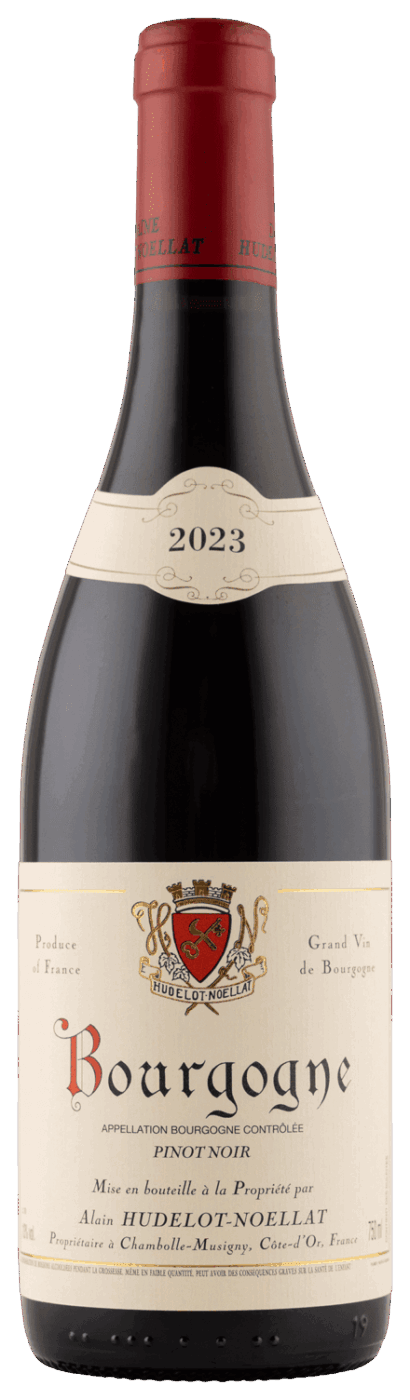 Hudelot Noëllat 2023 Bourgogne Pinot Noir